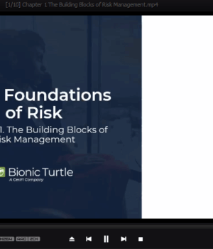 FRM 2026 Part 1 Bionic Turtle Videos